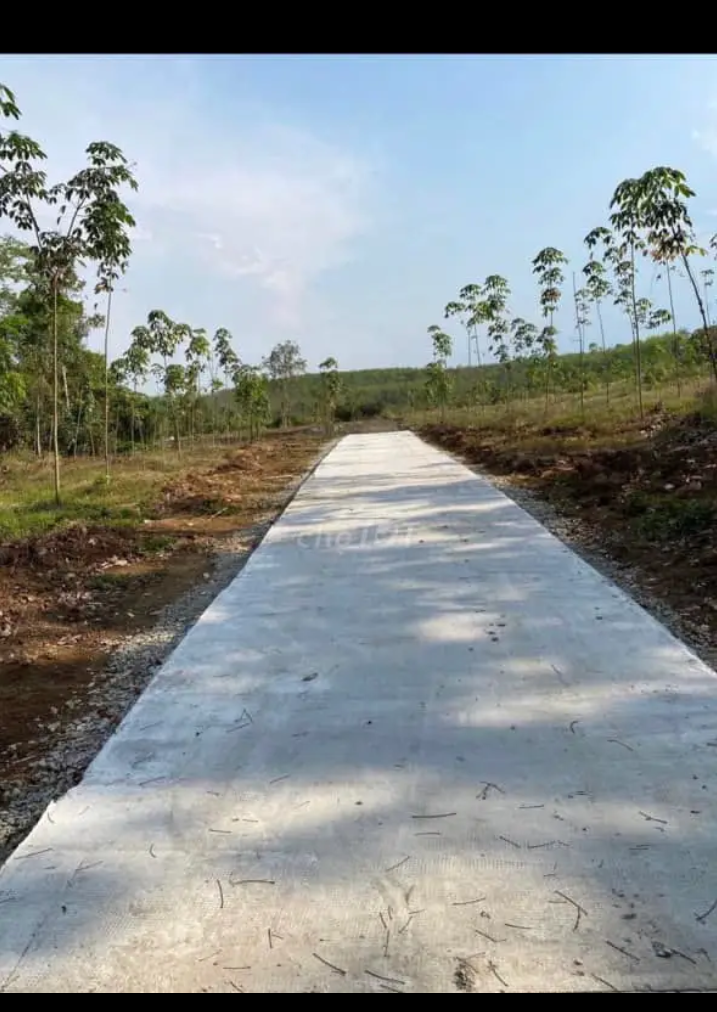 Bán đất xã Tân Hưng giá 1tỷ8 dt 1mẫu2