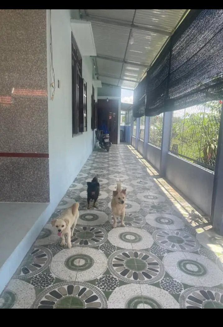 Bán nhà phường Tân Đồng giá 2tỷ1 dt 7×30×40tc