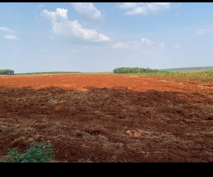 Bán đất xã Thuận Lợi giá 1tỷ375/ha dt 4ha