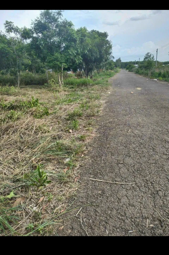 Bán đất xã Tân Hưng giá 1tỷ4 dt 350m2×full tc