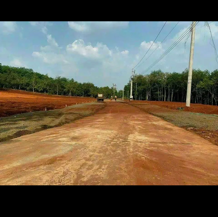 Bán đất xã Thuận Lợi giá 300tr dt 250m2×100m2 tc