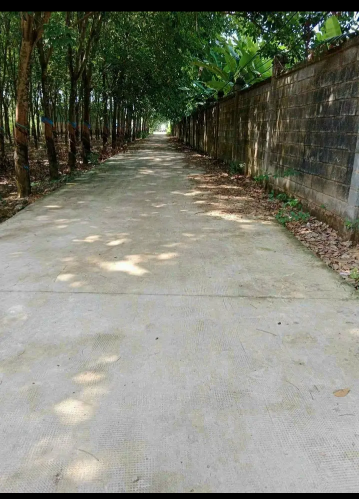 Bán đất xã Tân Thành giá 500tr dt 5×40×50tc
