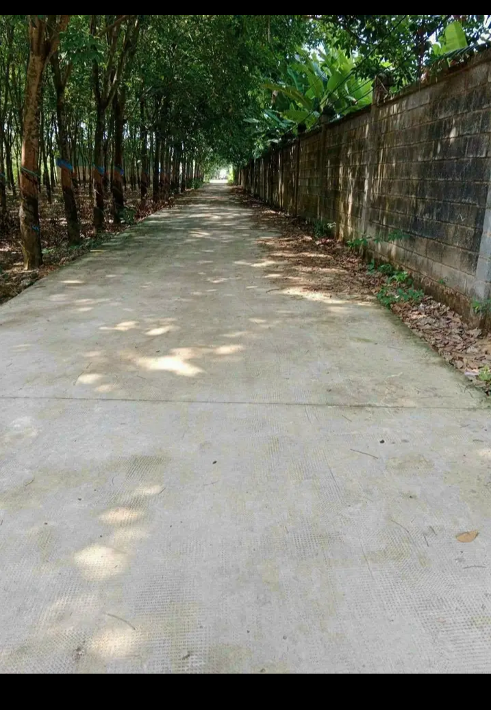 Bán đất xã Tân Thành giá 500tr dt 5×40×50tc