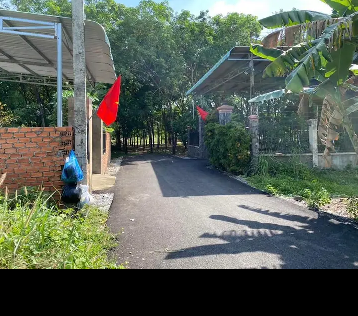 Bán đất phường Tân Bình giá 2tỷ200 dt 10×23×50tc
