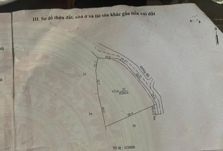 Bán đất xã Tân Lợi giá 1tỷ2 dt 8sào3