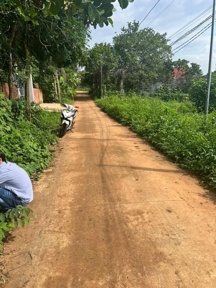 Bán đất xã Thanh Phú giá 400tr dt 5x30x50tc