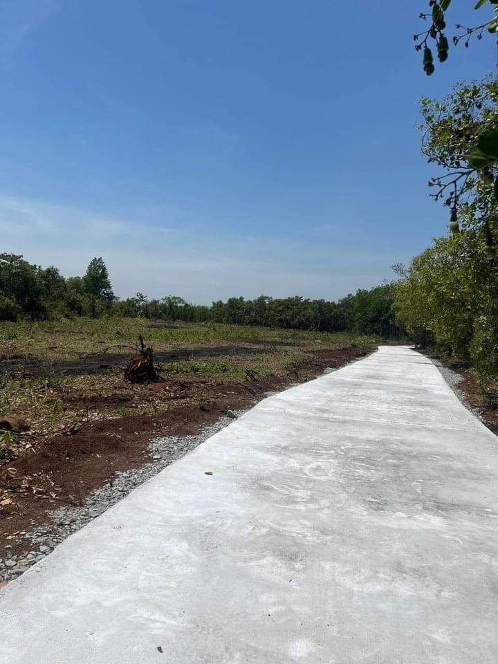 Bán đất xã Thanh Lương giá 215tr dt 5x48x50tc