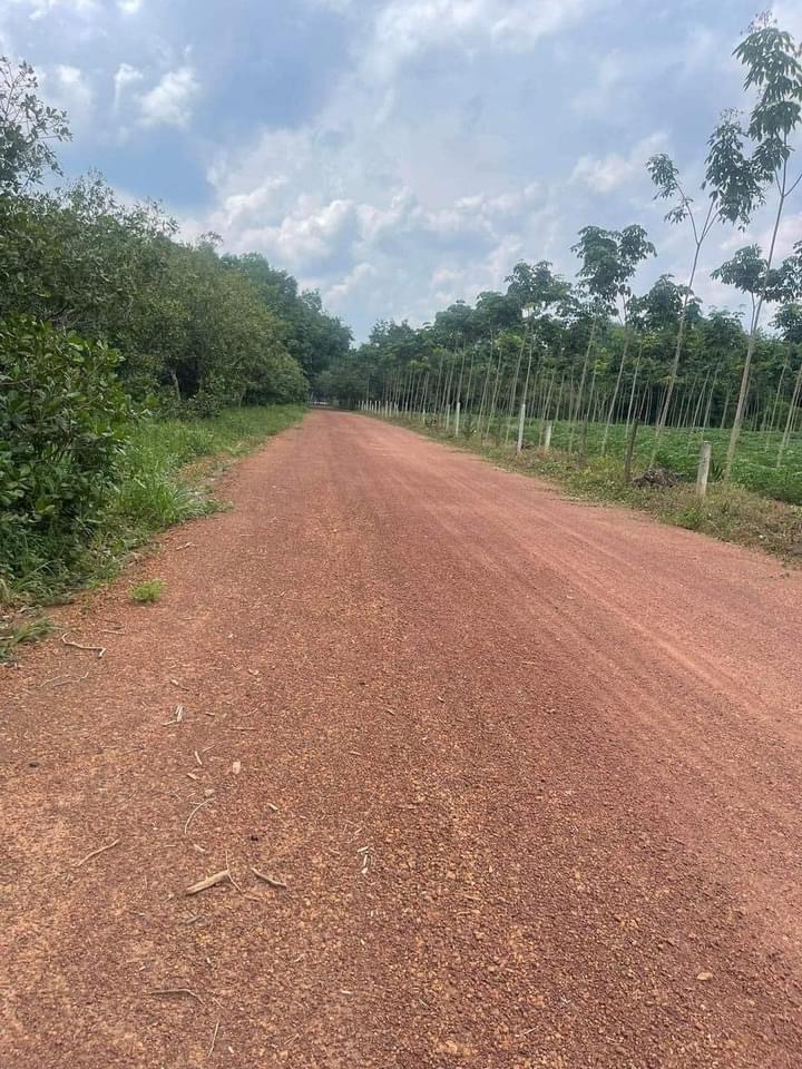 Bán đất xã Nha Bích giá 1,4 tỷ dt 3 sào
