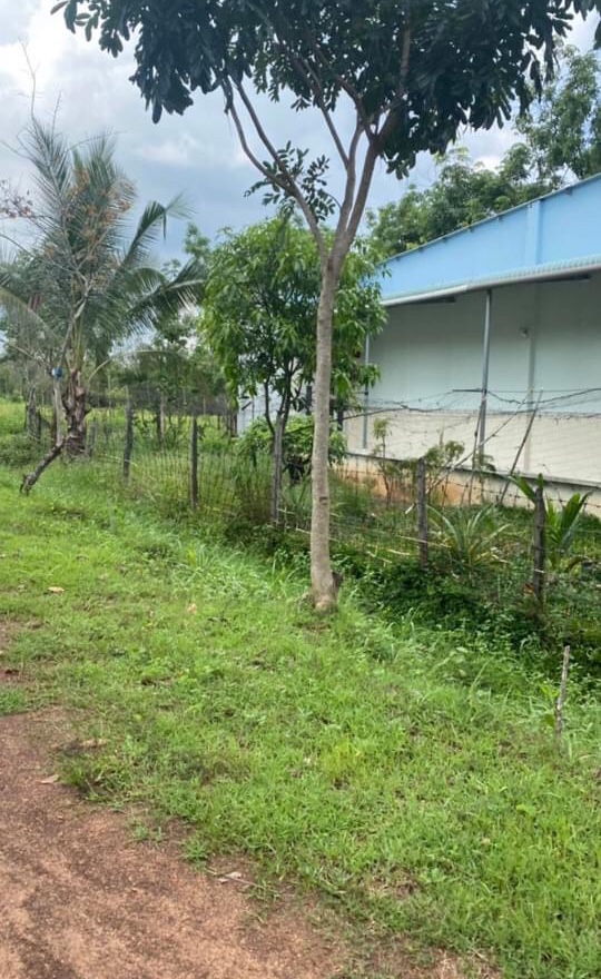 Bán đất xã Lộc Thành giá 250tr dt 1 xào