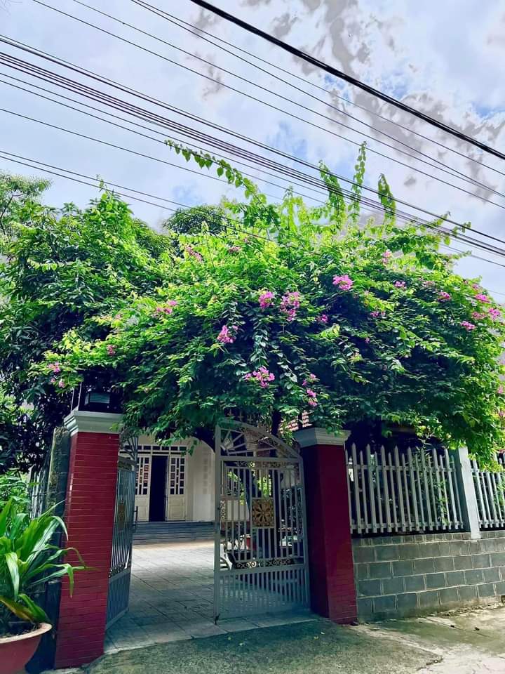 Bán nhà phường An Lộc giá 2 tỷ 999tr dt 9×110×100tc