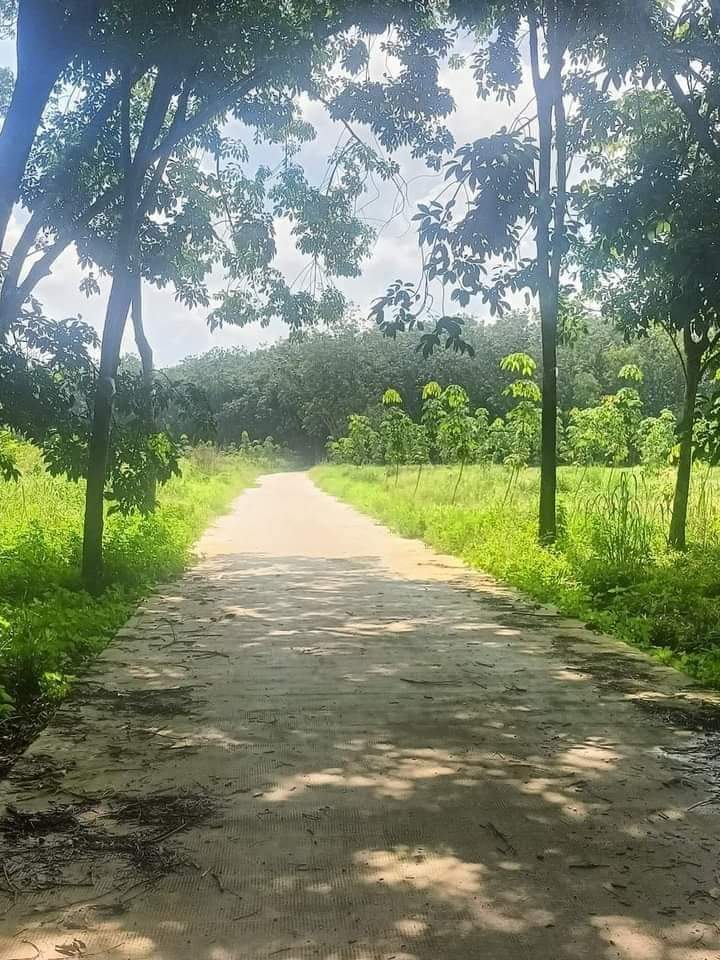Bán đất phường Minh hưng giá 1 tỷ 350tr dt 3 xào 7
