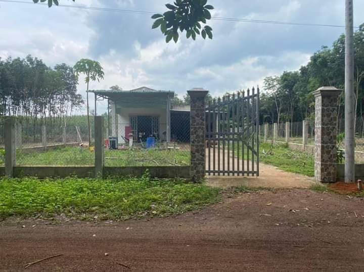 Bán nhà tt Tân Khai giá 1tỷ050 dt 15×40×150tc