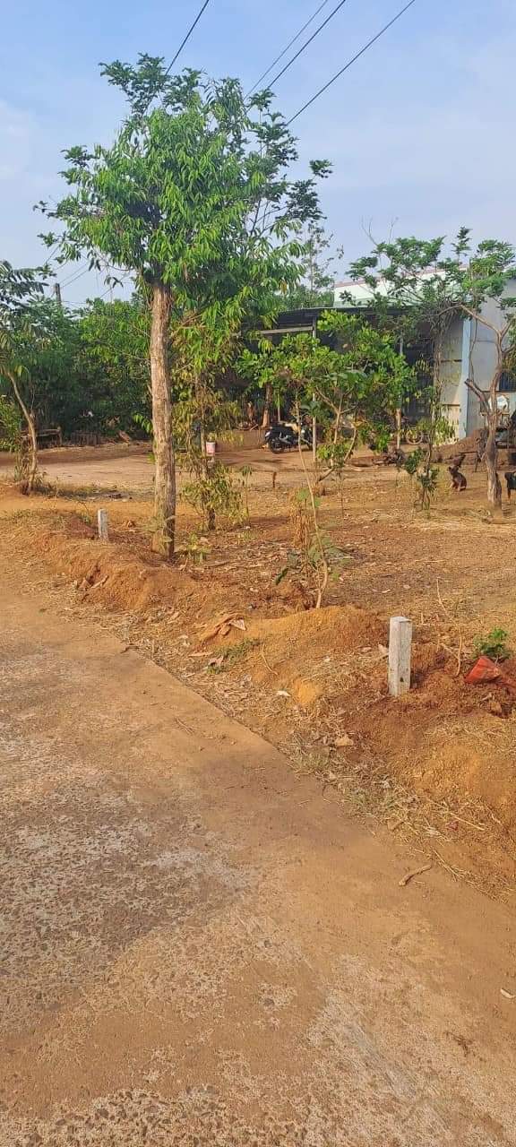 Bán đất xã An Khương giá 320tr dt 5×60×100tc