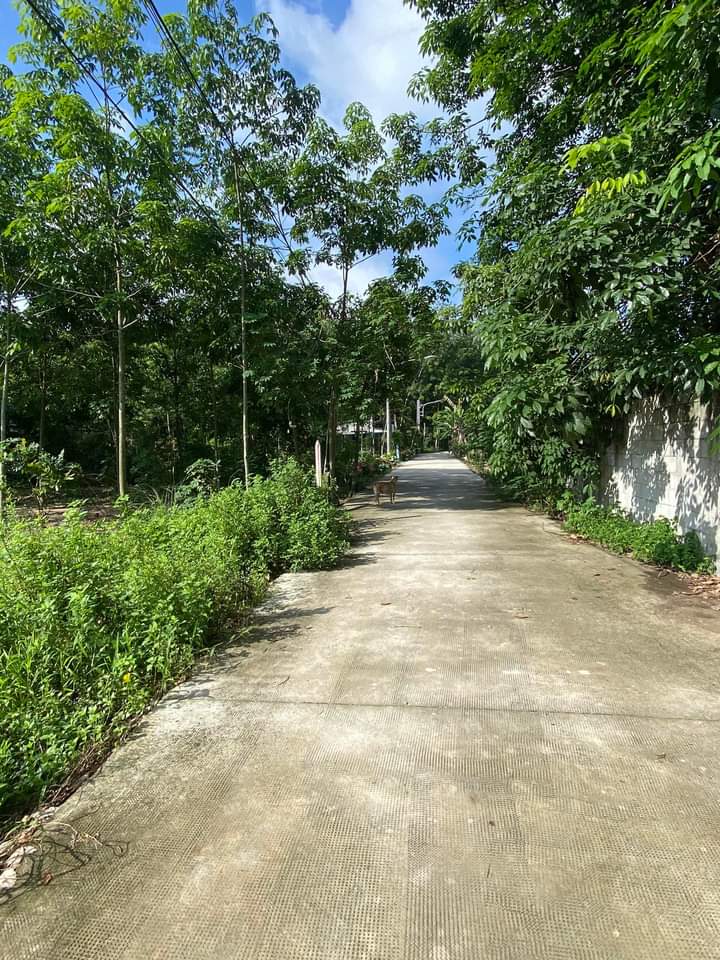 Bán đất Lai Uyên giá 650tr dt 5*40*80tc
