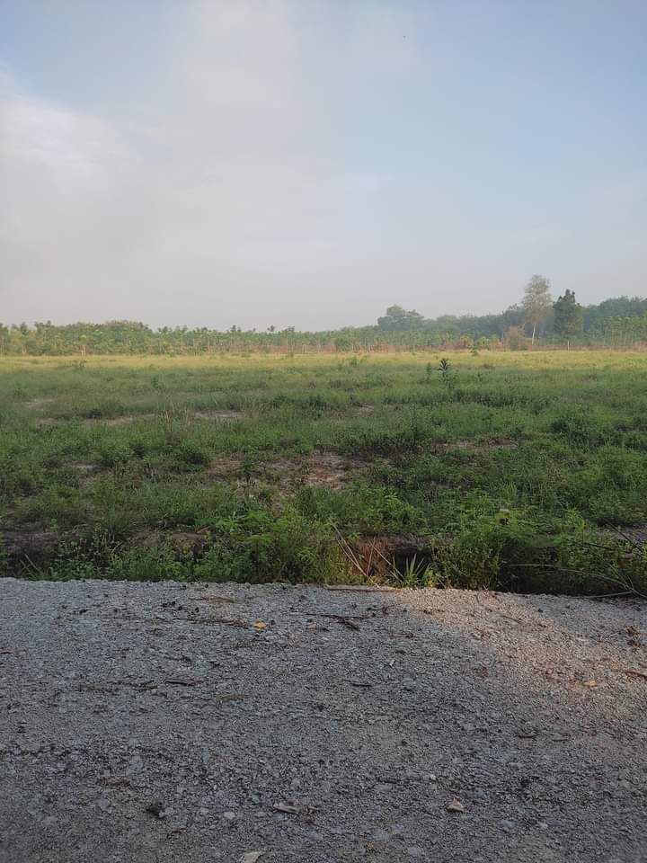 Bán đất Lai Uyên giá 7tỉ5 dt 50*130