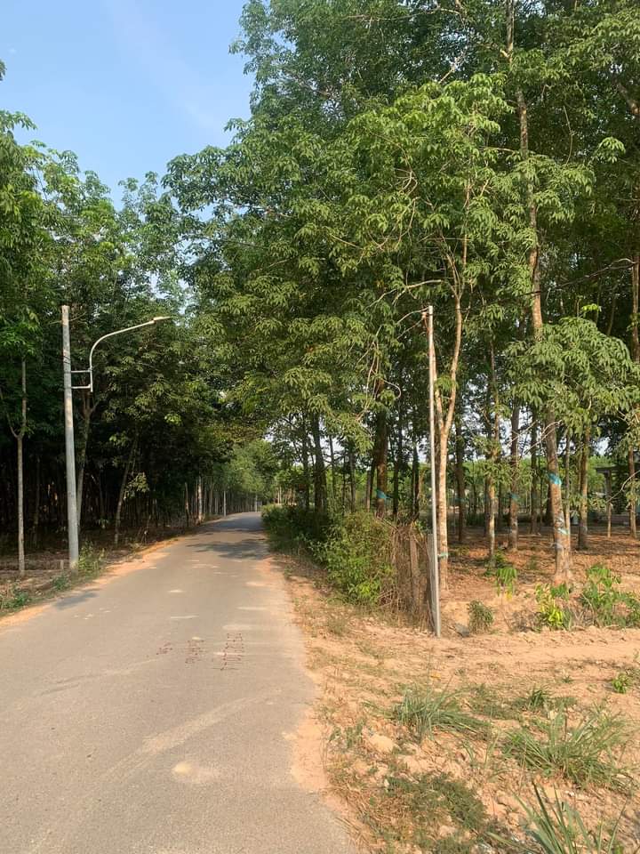 Bán đất Lai Uyên giá 2tỉ dt 8,73*90