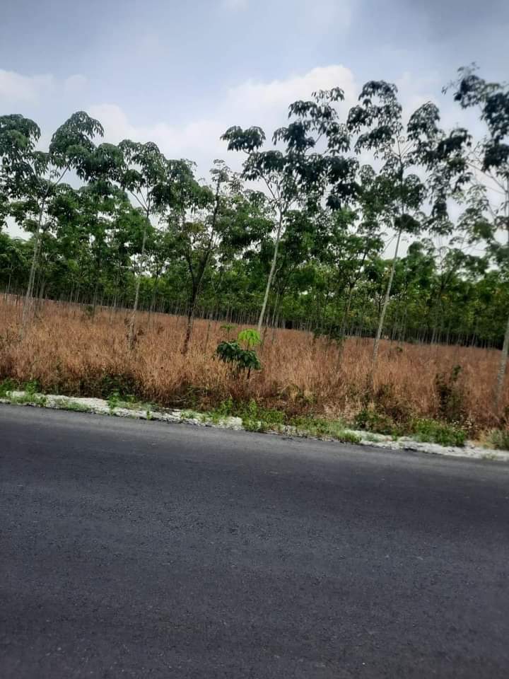 Bán đất Long Nguyên giá 1tỉ9 dt 2xào3
