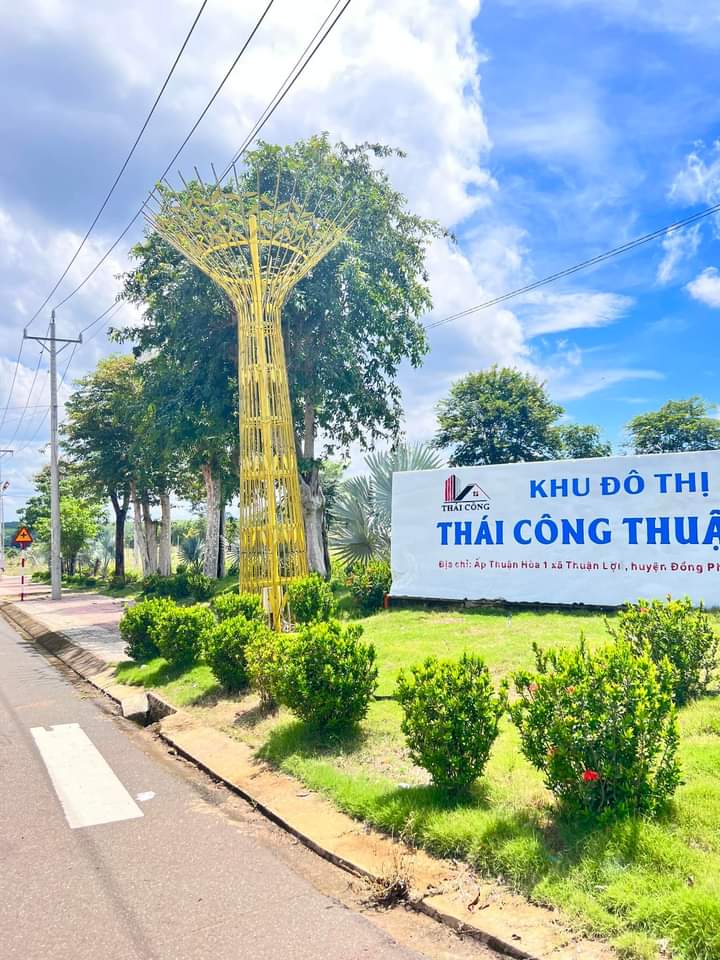 Bán đất xã Thuận Lợi giá 1tỷ1 dt 5,5×20,5×full tc