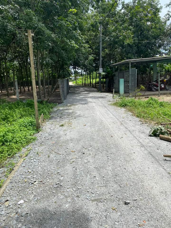 Bán đất Lai Uyên giá 630tr dt 6*28*80tc