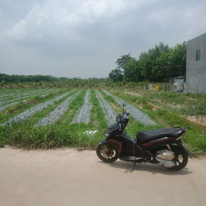 Bán đất Lai Uyên giá 2tỉ dt 10*56*84tc