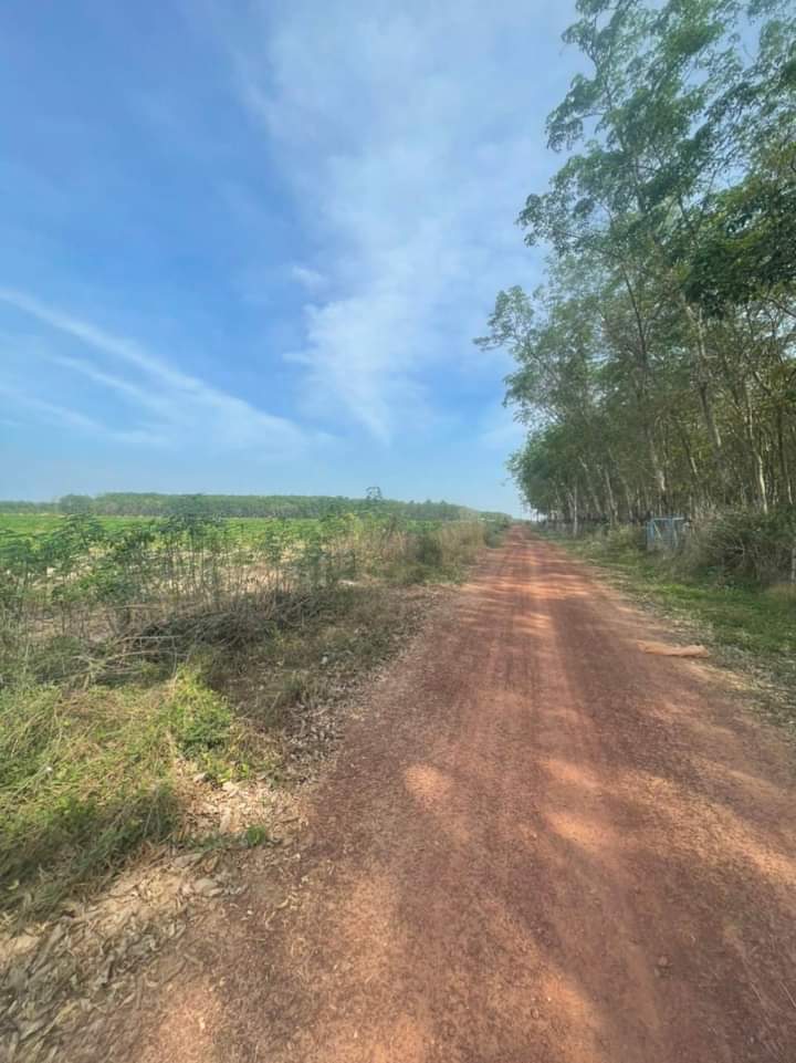 Bán đất Long Nguyên giá 800tr dt 10*100