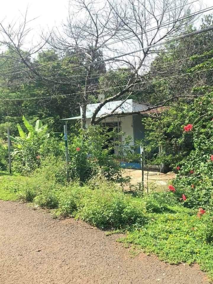 Bán đất có nhà xã Thanh Bình giá 1tỷ dt 1xào3