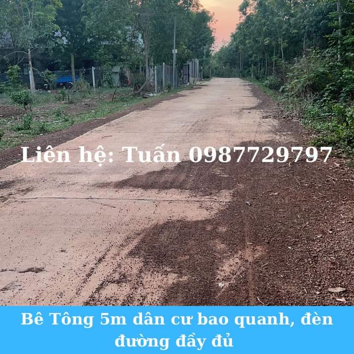 Bán đất tt Tân Khai giá 370tr dt 5×54×50tc