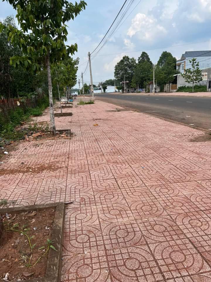 Bán đất phường Tân Đồng giá 4tỷ2 dt 6×30×full tc