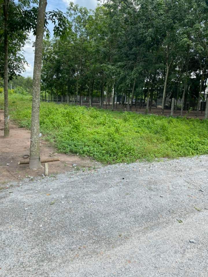 Bán đất Lai Uyên giá 630tr dt 6*28*80tc