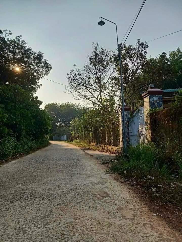 Bán nhà xã Thanh Lương giá 800tr dt 15×40×150tc