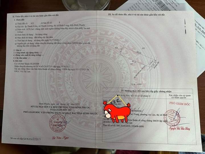 Bán đất xã Thanh Lương giá 320tr dt 1 sào