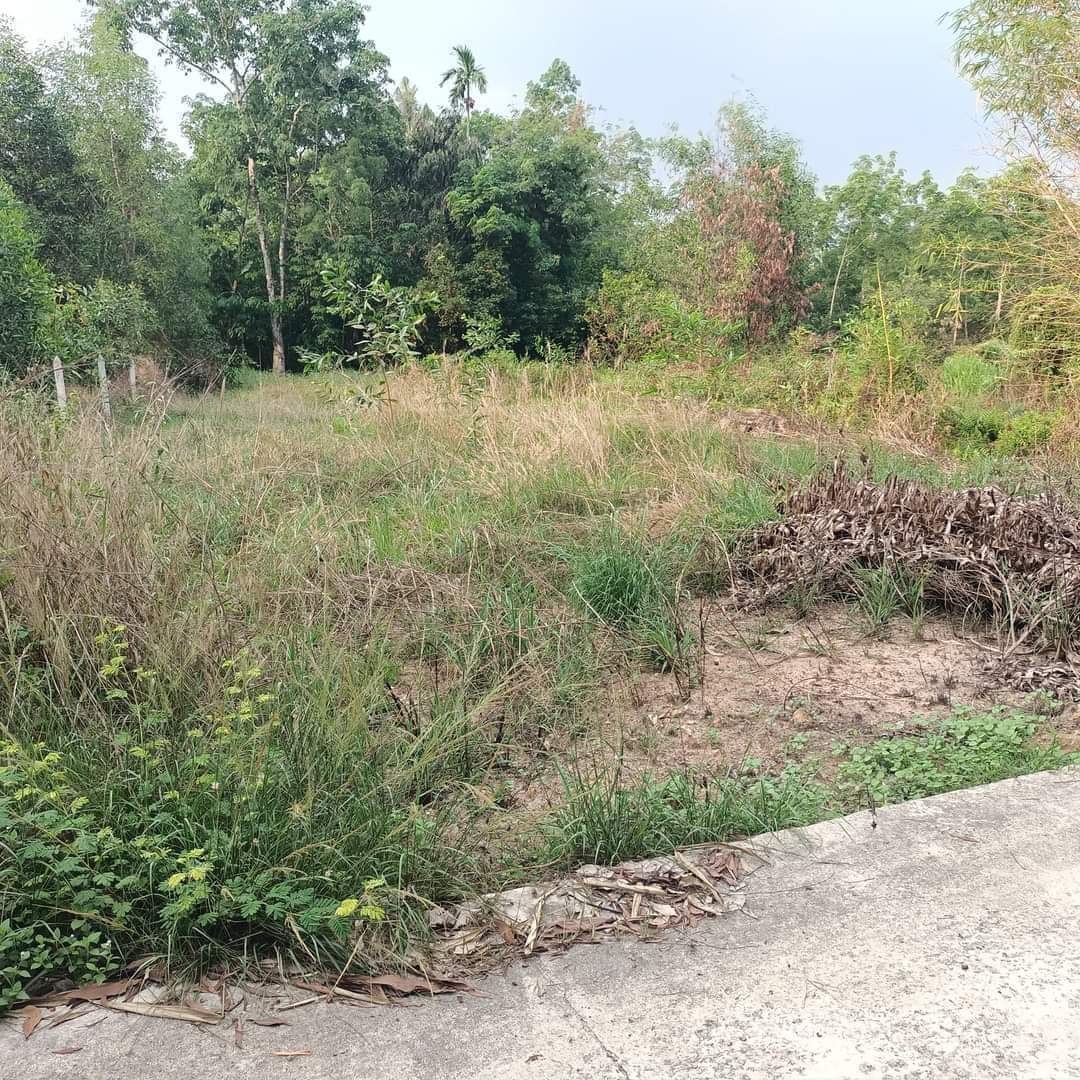 Bán đất Phú An giá 2tỉ2 dt 12*39*100tc