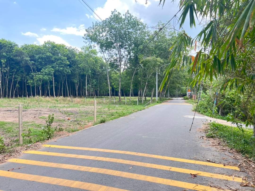 Bán đất Phú An giá 1tỉ4 dt 6*53*100tc