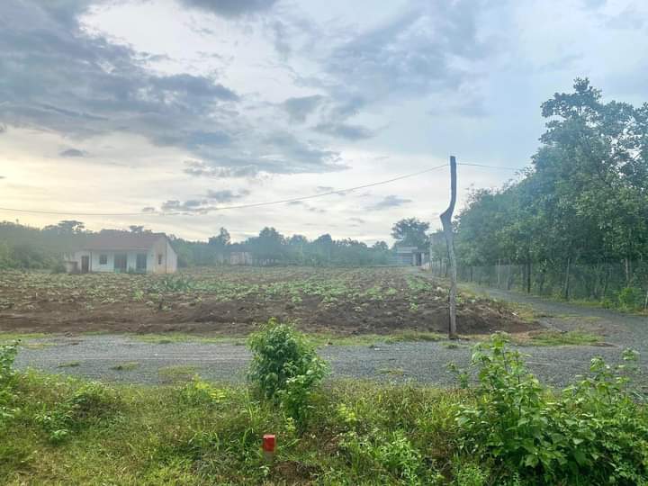 Bán đất xã Thanh An giá 195tr dt 5×40×100m2 tc