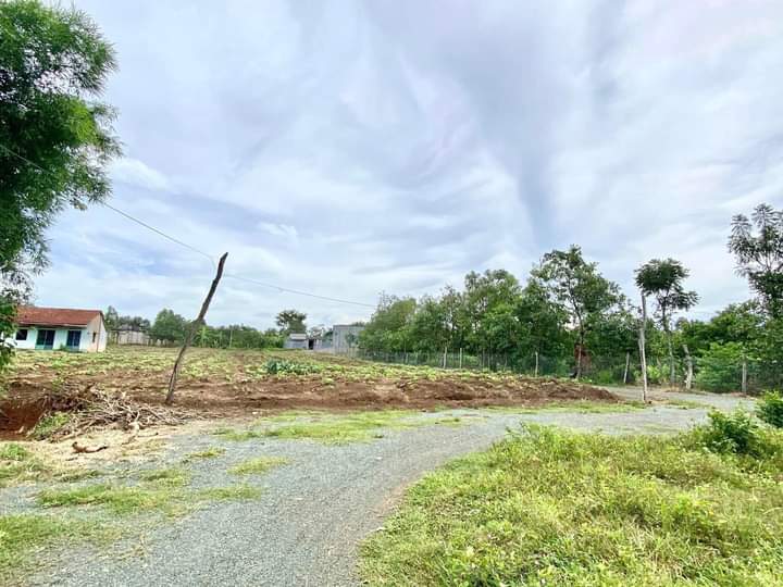 Bán đất xã Thanh An giá 195tr dt 5×40×100m2 tc