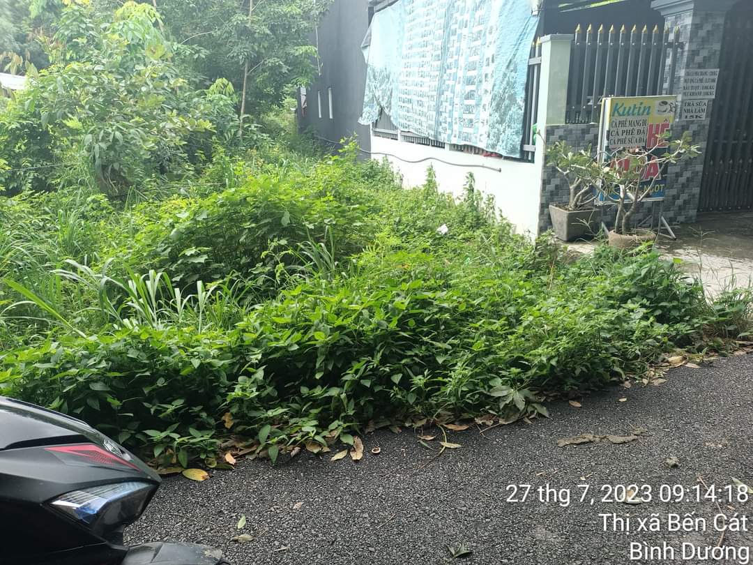 Bán đất Phú An giá 1tỉ4 dt 5*46*100tc