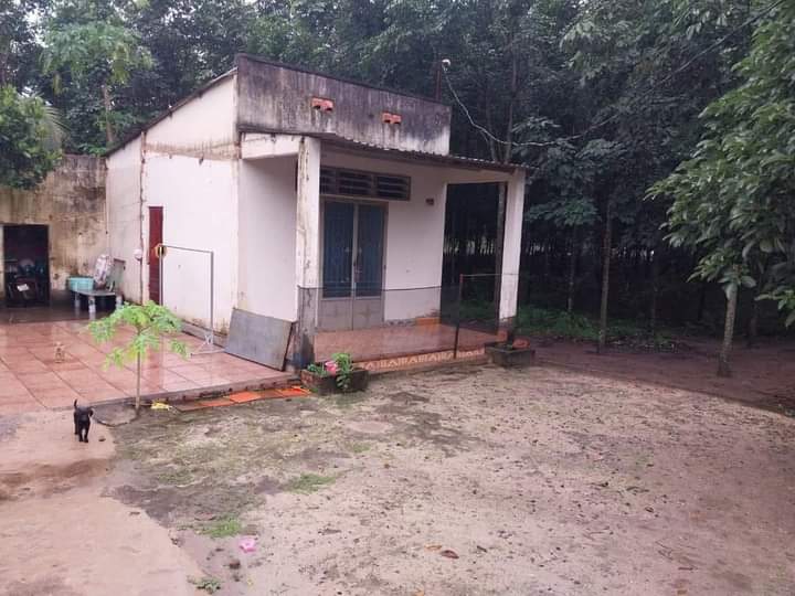Bán đất xã Tân Quan giá 1tỷ2 dt 2sào6