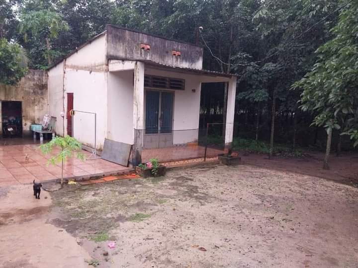 Bán đất xã Tân Quan giá 1tỷ150 dt 2xào6