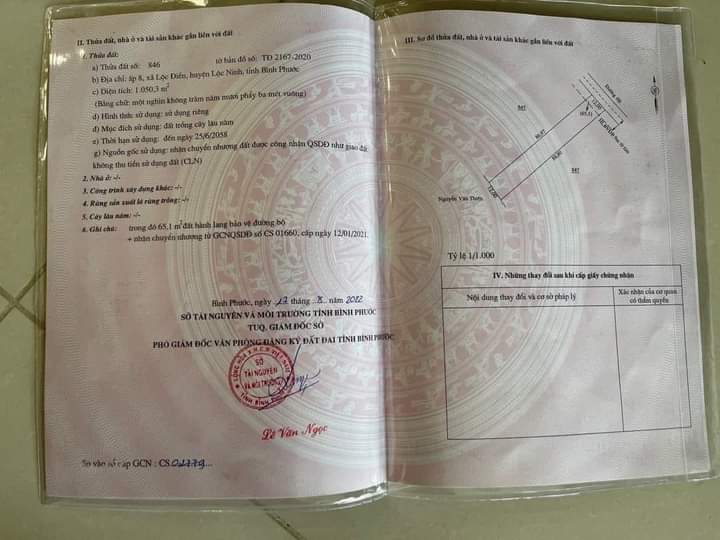 Bán đất ấp 8 xã Lộc Điền giá 235tr dt 1 sào