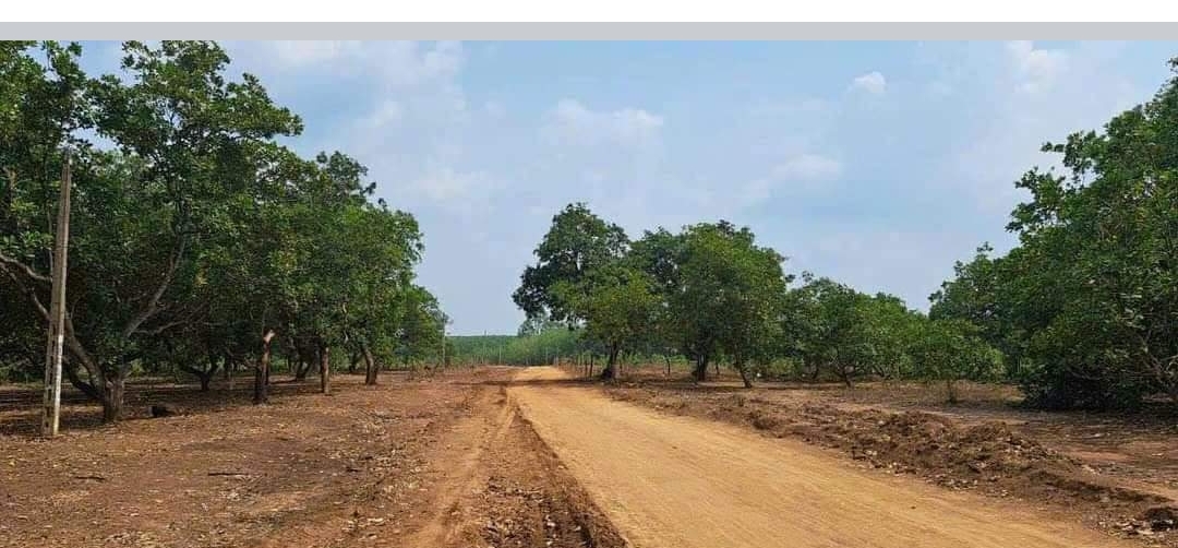 Bán đất xã Long Hà dt 9,949m2 giá 40tr/m ngang
