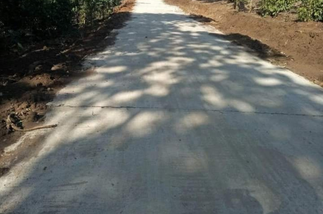 Bán đất xã Phú Văn dt 4,3ha giá 580tr/ha