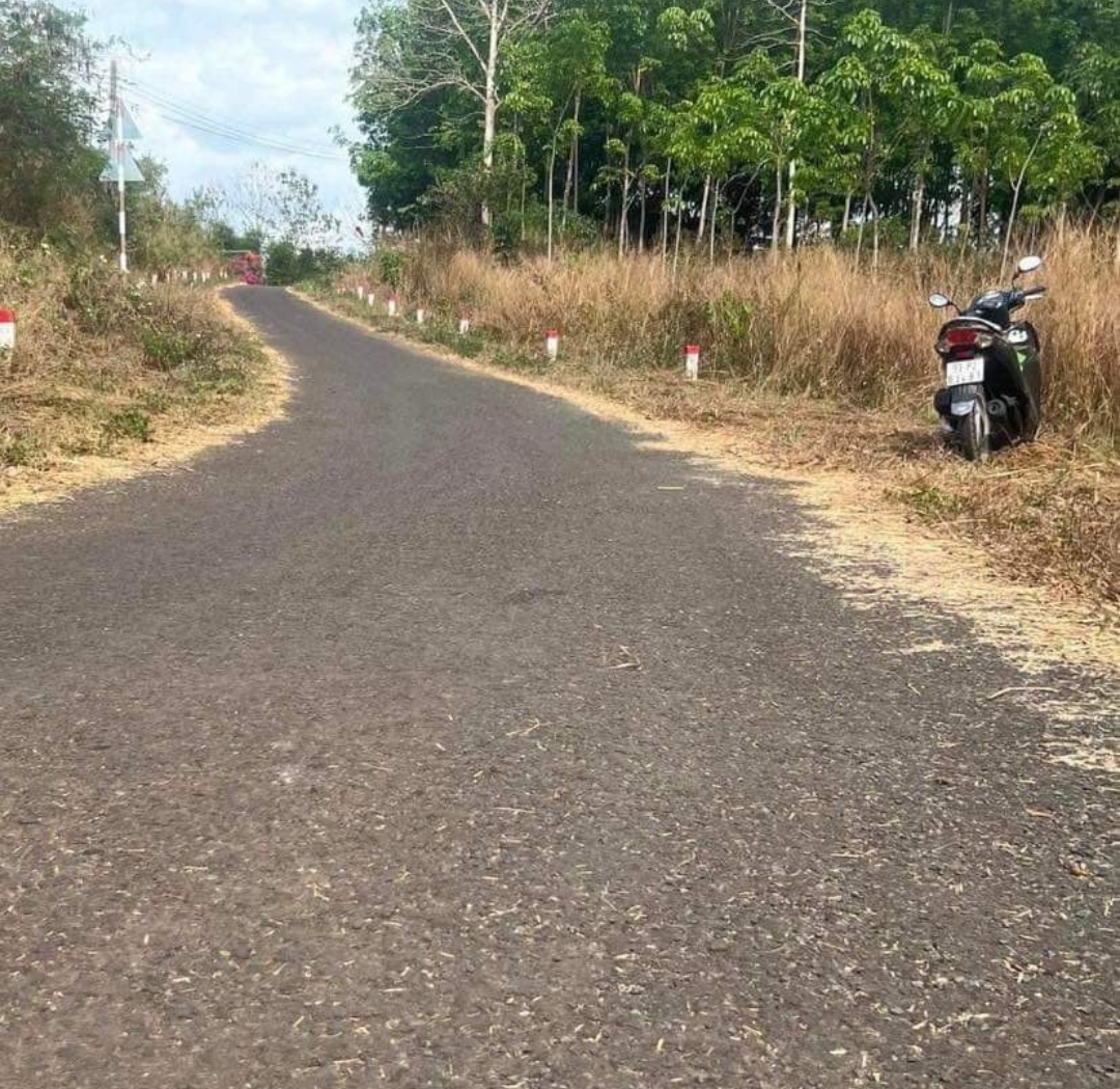 Bán đất xã Thanh Hòa dt 50*100 giá 1,3tỷ