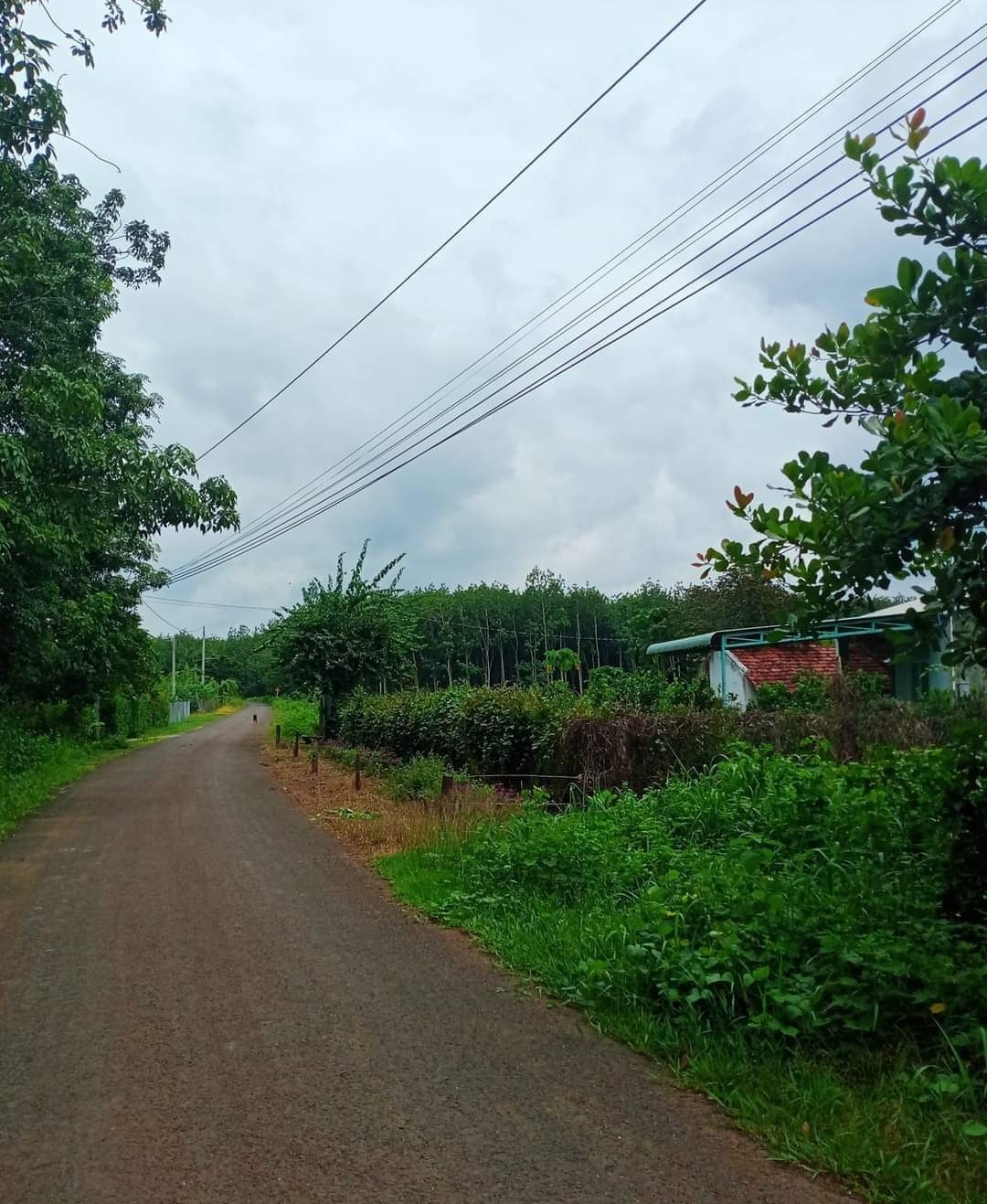 Bán đất xã Thanh Hòa dt 20*60 giá 999tr