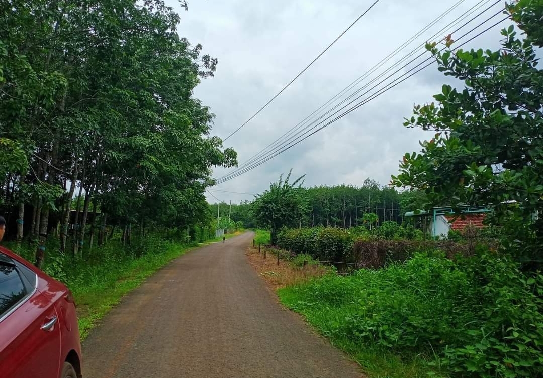 Bán đất xã Thanh Hòa dt 20*60 giá 999tr