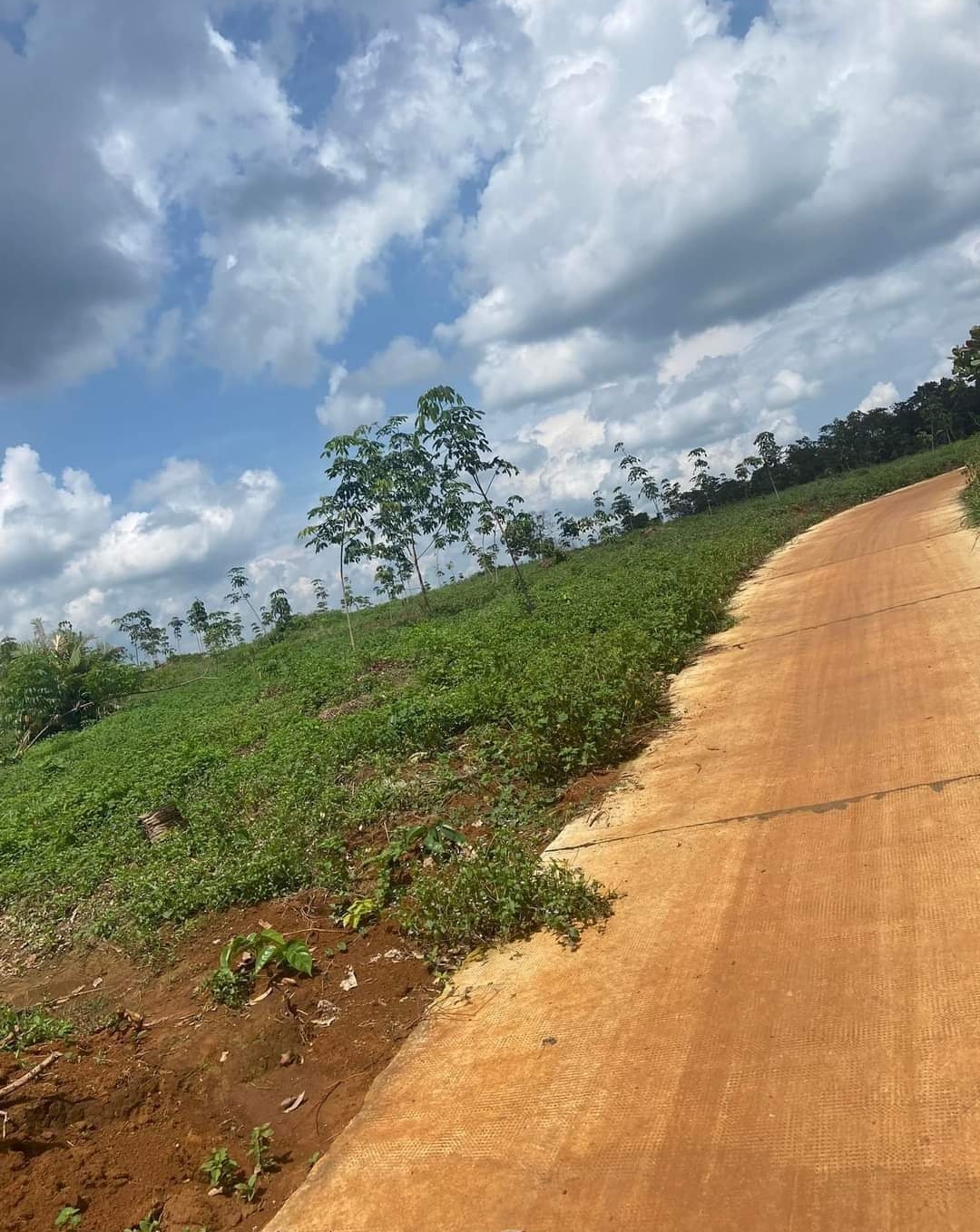 Bán đất xã Đồng Nai dt 2,3ha giá 1,7tỷ