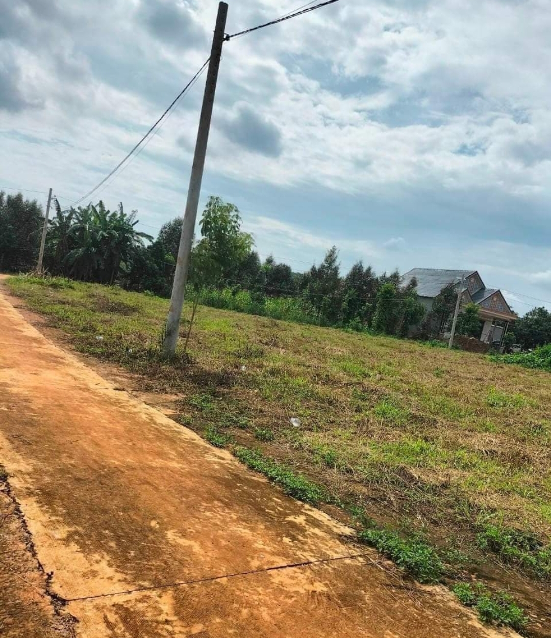 Bán đất xã Nghĩa Bình dt 2ha giá 1,6tỷ/ha