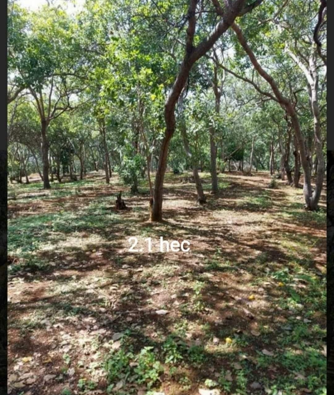 Bán đất xã Phước Sơn dt 2,1ha giá 2,7tỷ