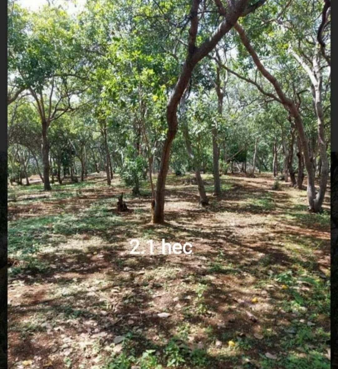 Bán đất xã Phước Sơn dt 2,1ha giá 2,7tỷ
