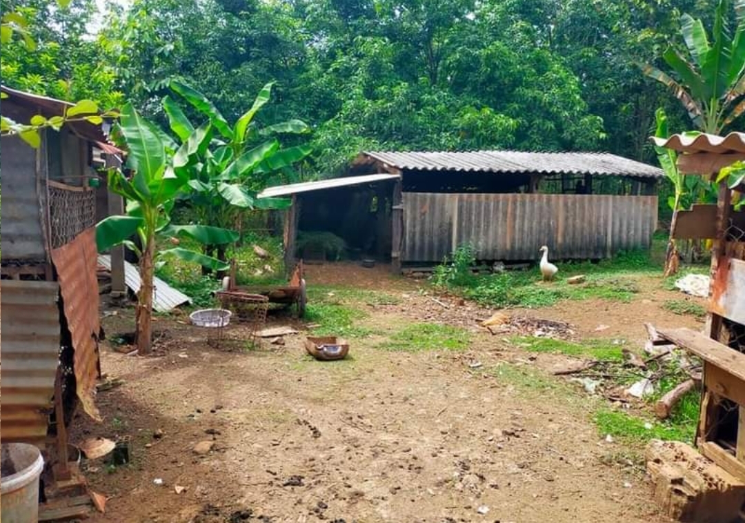Bán đất xã Bình Thắng dt 1ha+400tc giá 1,7tỷ