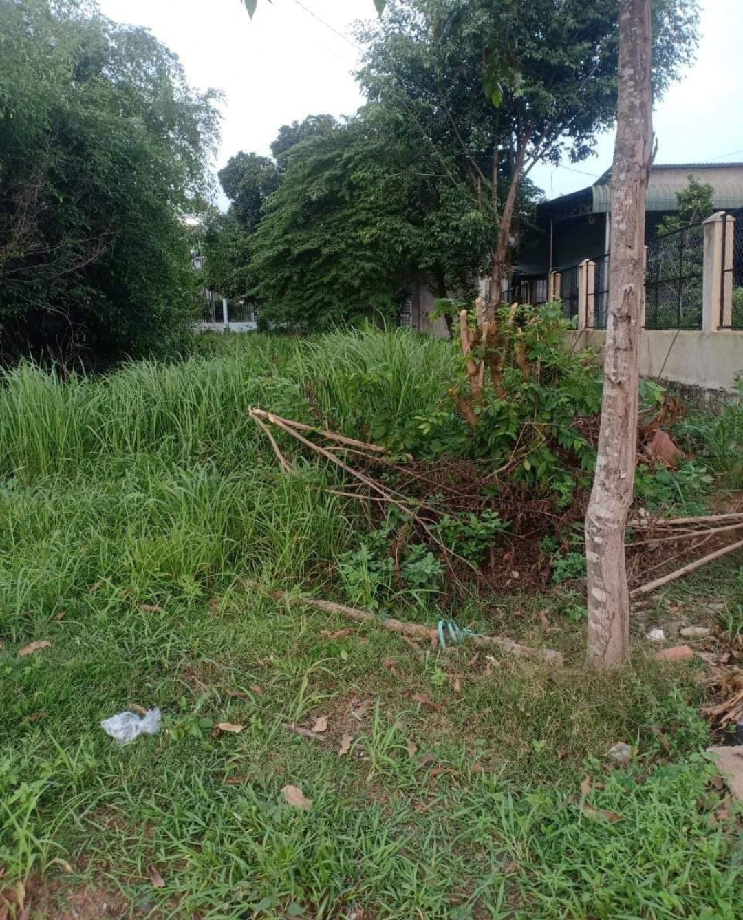 Bán đất xã Thanh Hòa dt 8*30* full tc giá 1,3tỷ